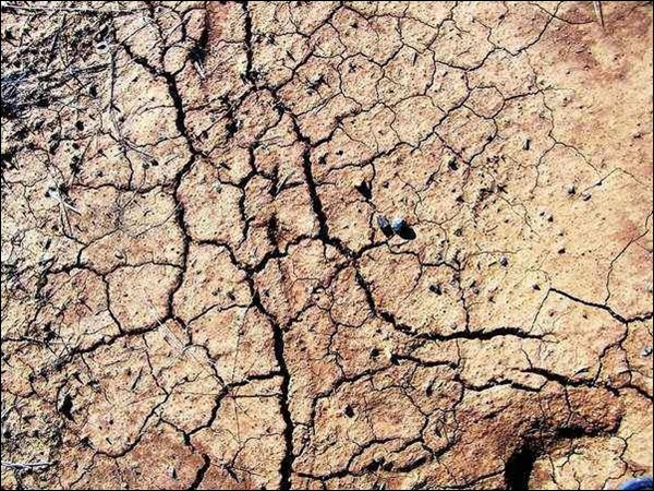Cracked Land Earth Textures