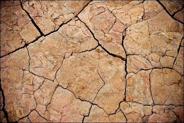 Cracked Mud Texture