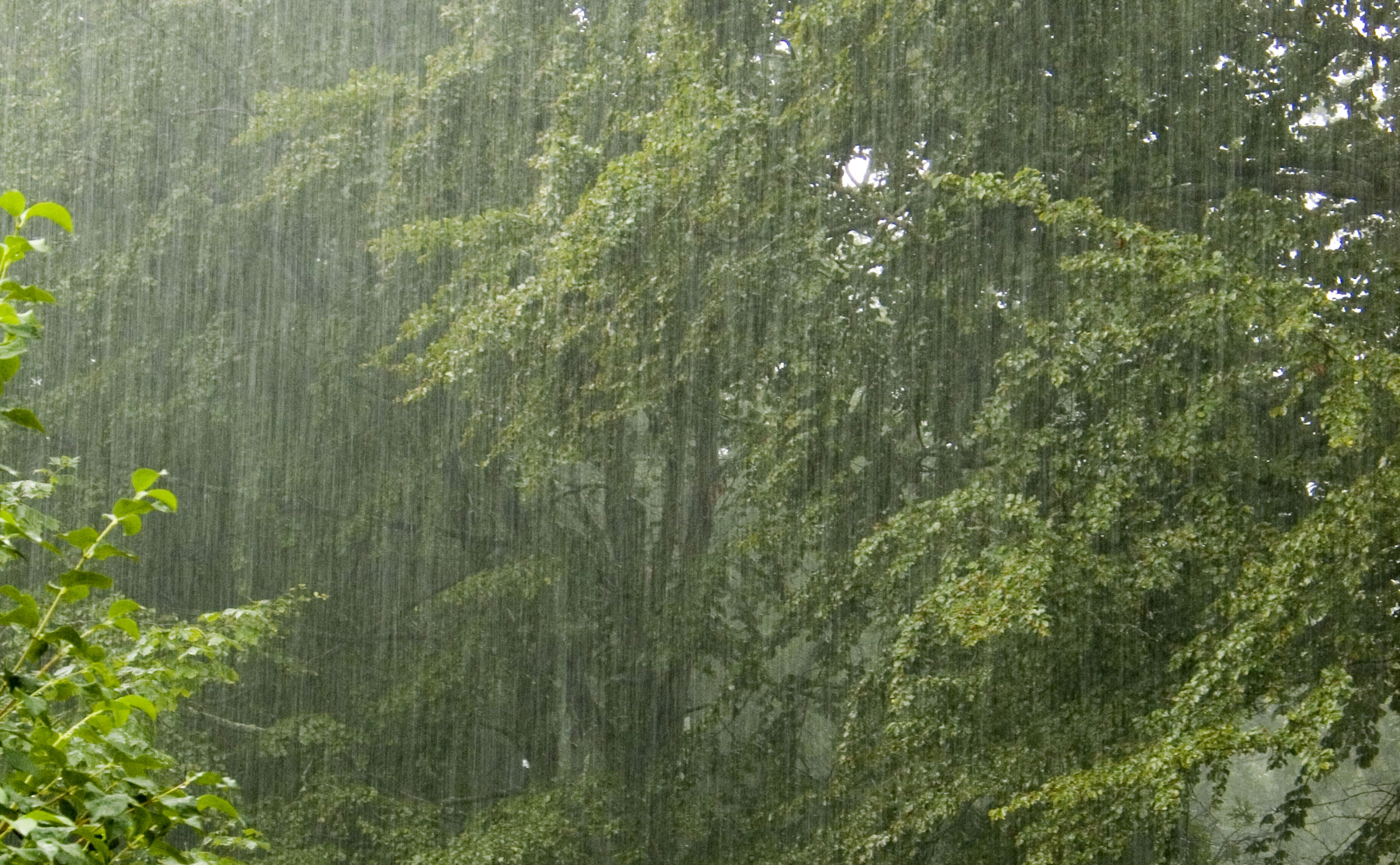 Voy a llenar este hilo con FOTOS de LLUVIA | Mediavida