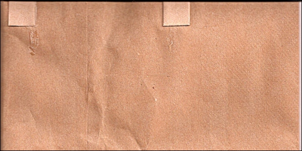 Paper Bag Texture