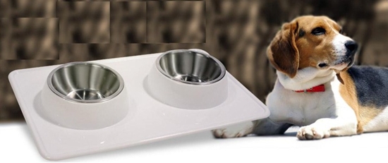 Pet food dish, inside rim