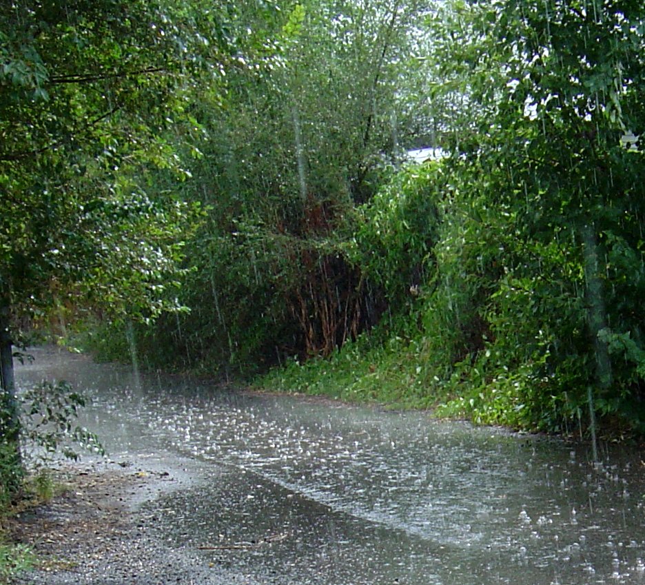 Stunning Rain Photography