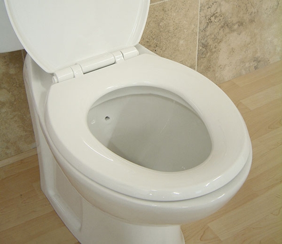 Toilet seat