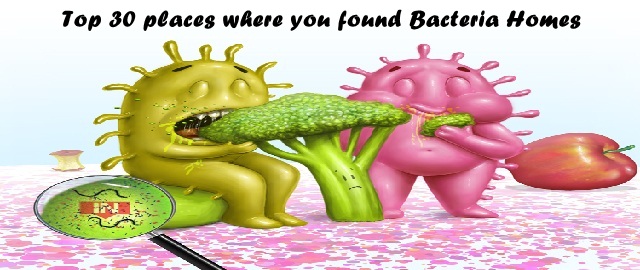 Top 30 places where you found Bacteria Homes