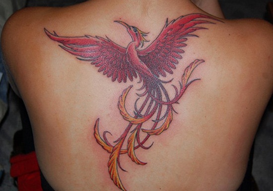 newest-phoenix-tattoo