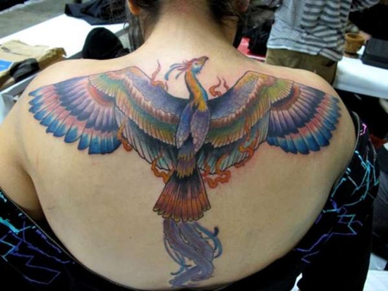 phoenix-tattoo 1