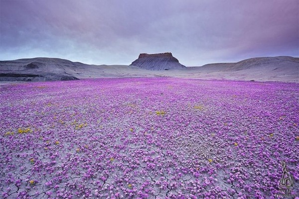 21 Amazing Alien-Like Places on Our World That Are From Another Planet (18)