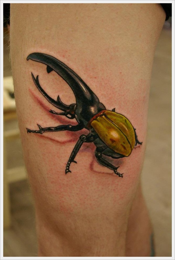 Hercules Beetle By Sandor Konya