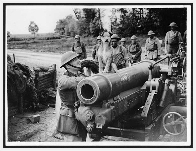 Triumphant dog sitting atop a gun surrounded by gunners, France, during World War 1