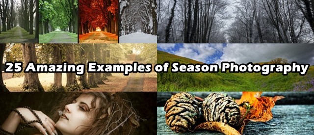 25 Amazing Examples of Season Photography