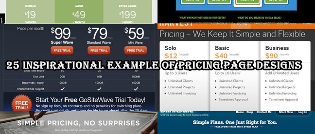 25 Inspirational Example of Pricing Page Designs