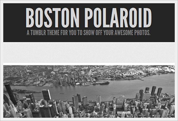 Boston Polaroid