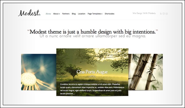 Elegant Themes Modest