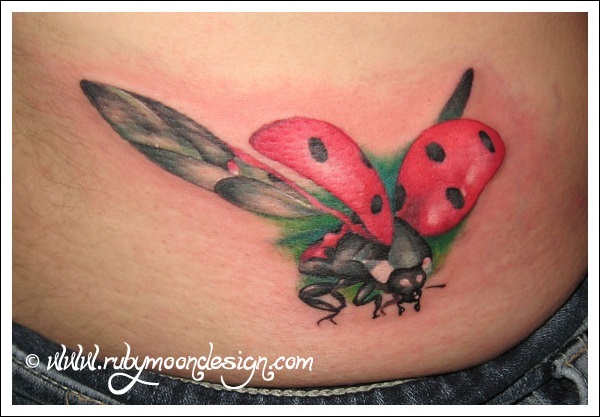 Flying Ladybug