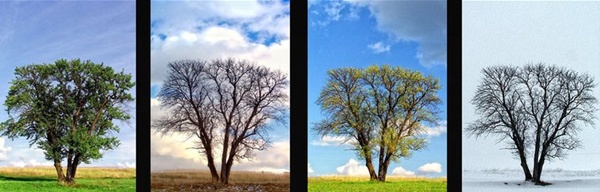 Four seasons of loneliness
