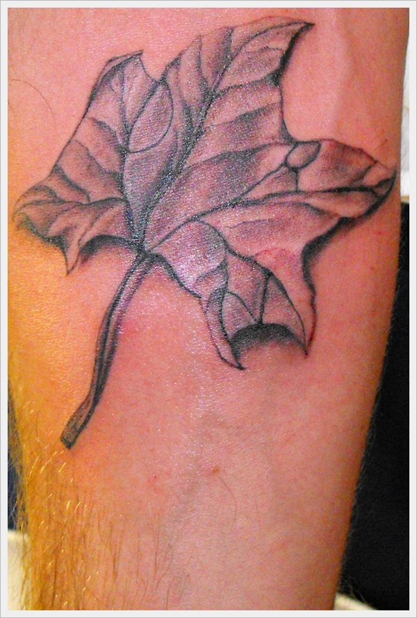 Leaf Tattoo Designs (20)