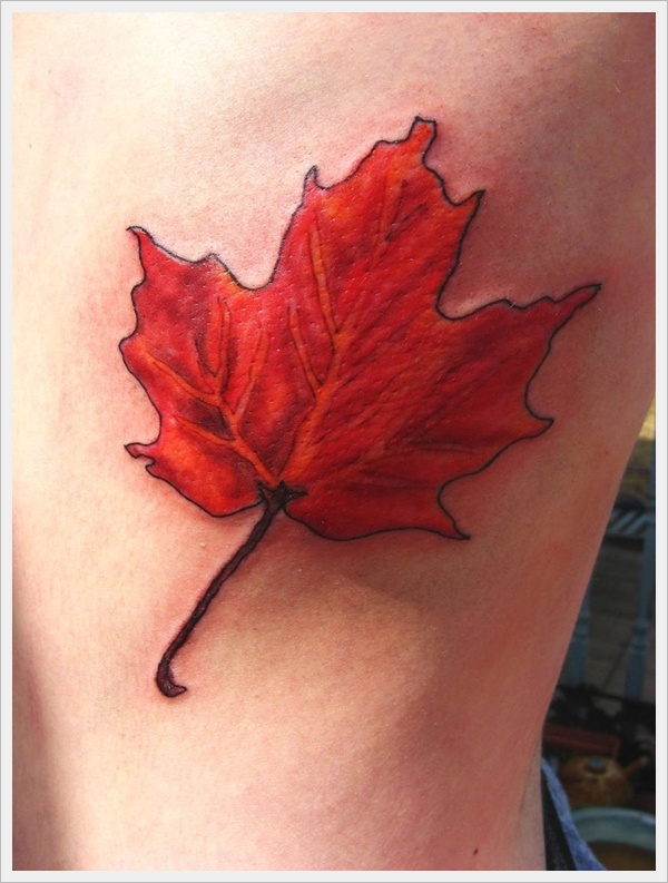 Leaf Tattoo Designs (23)
