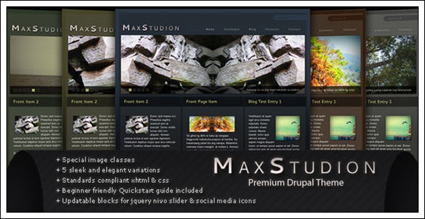 MaxStudion