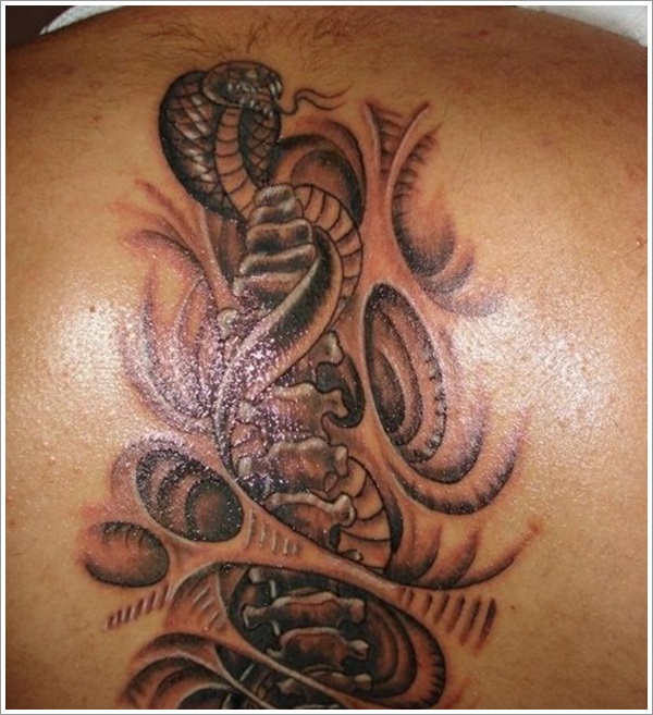 Snake Tattoo Designs (1)