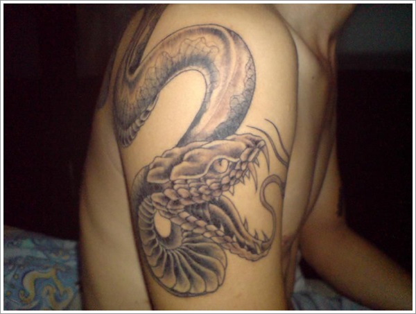 Snake Tattoo Designs (2)