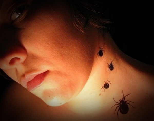 Amazing spider tattoos 14