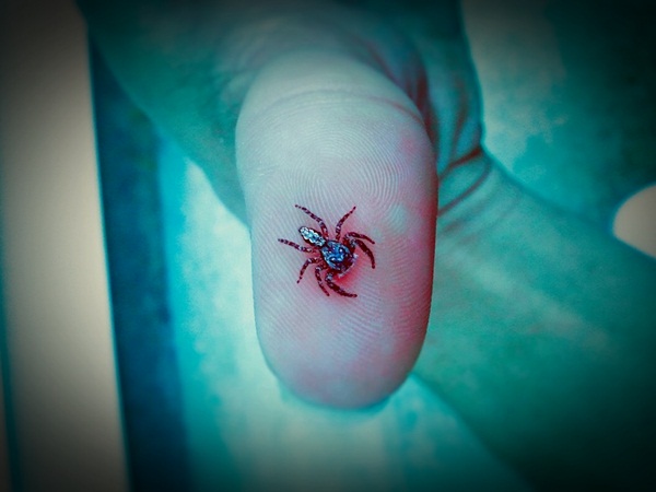 Amazing spider tattoos 7