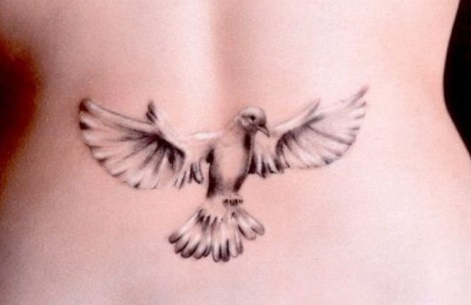 Dove Tattoo Designs For Girls (6)