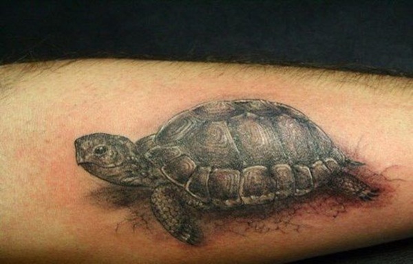 Turtle Tattoo (17)