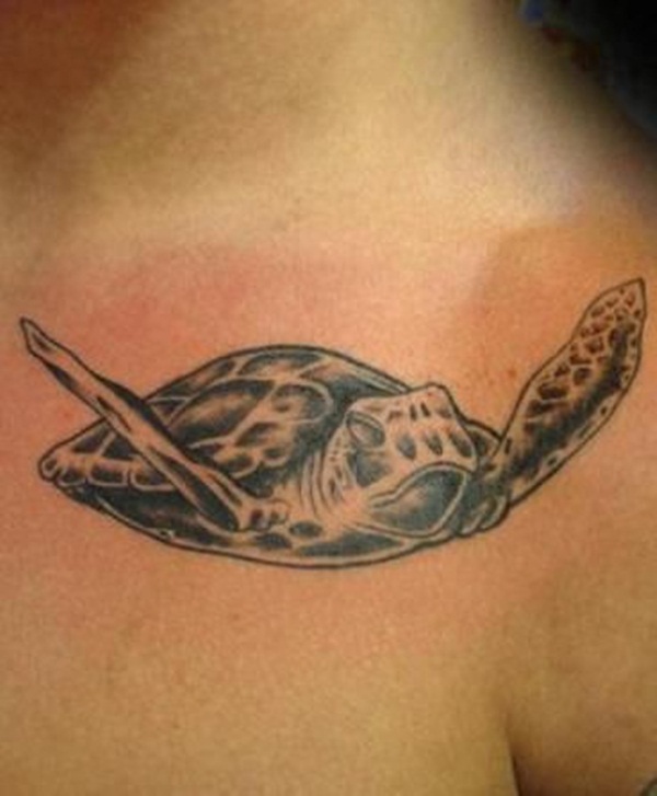 Turtle Tattoo (25)