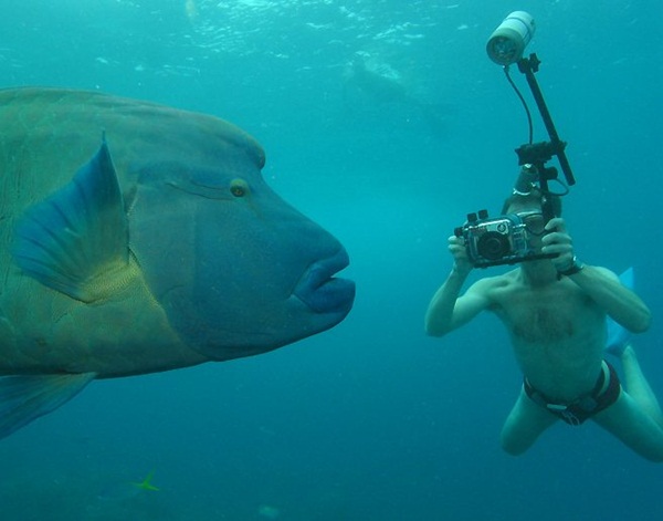Underwater Photography (12)