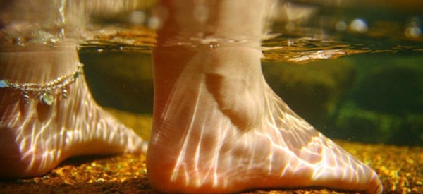 Underwater Photography (24)