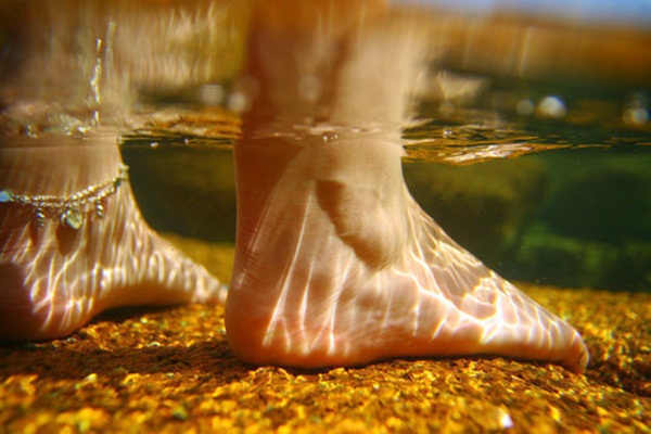 Underwater Photography (24)