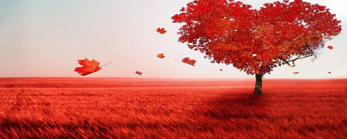 Happy_Valentine_Day_Wallpapers_2